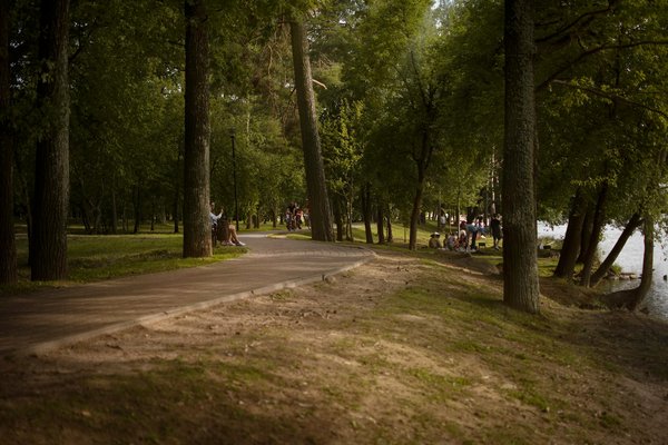 Transformez votre gestion du stress grâce à la visualisation : techniques innovantes et éprouvées pour un esprit apaisé.