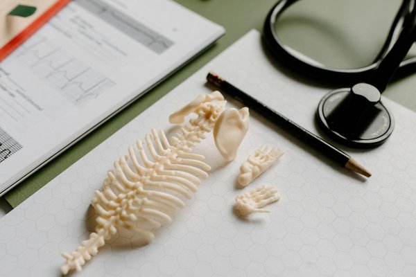 Renforcez vos défenses immunitaires : techniques créatives pour optimiser votre consommation de zinc